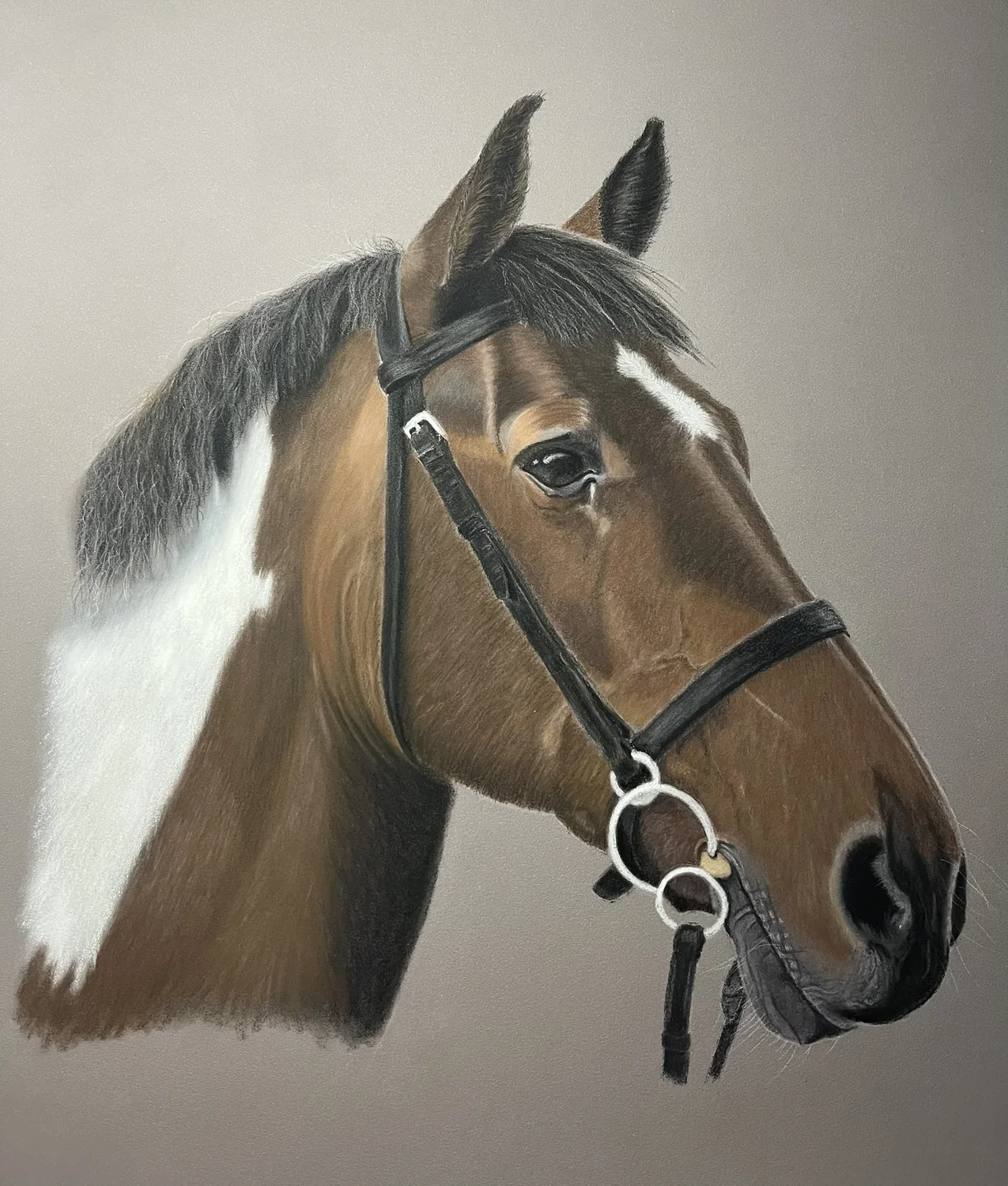 Bay Horse with Bridle by Art by Rachel