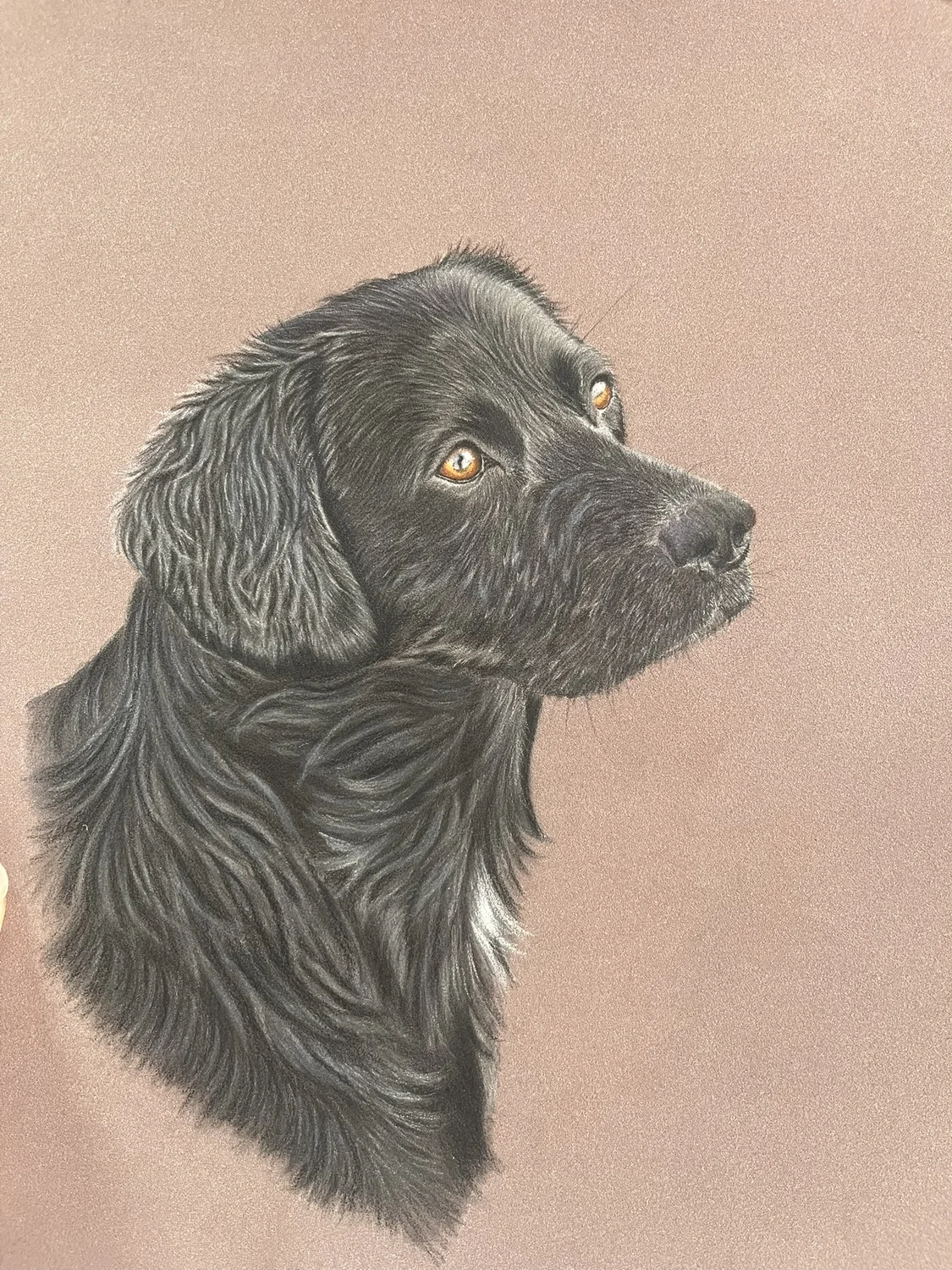 Black Dog Portrait by Art by Rachel