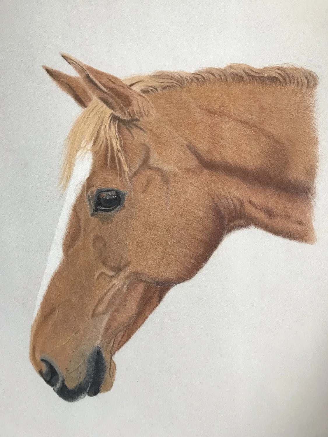 Chestnut Horse Profile by Art by Rachel