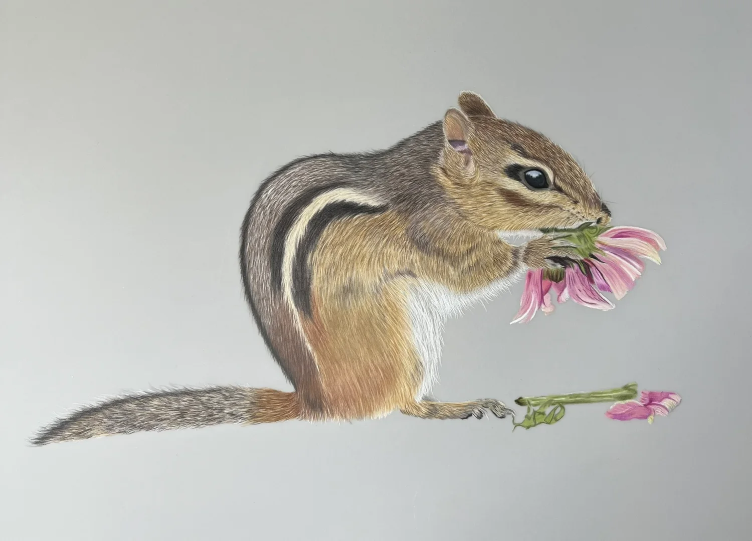 Chipmunk & Flower by Art by Rachel