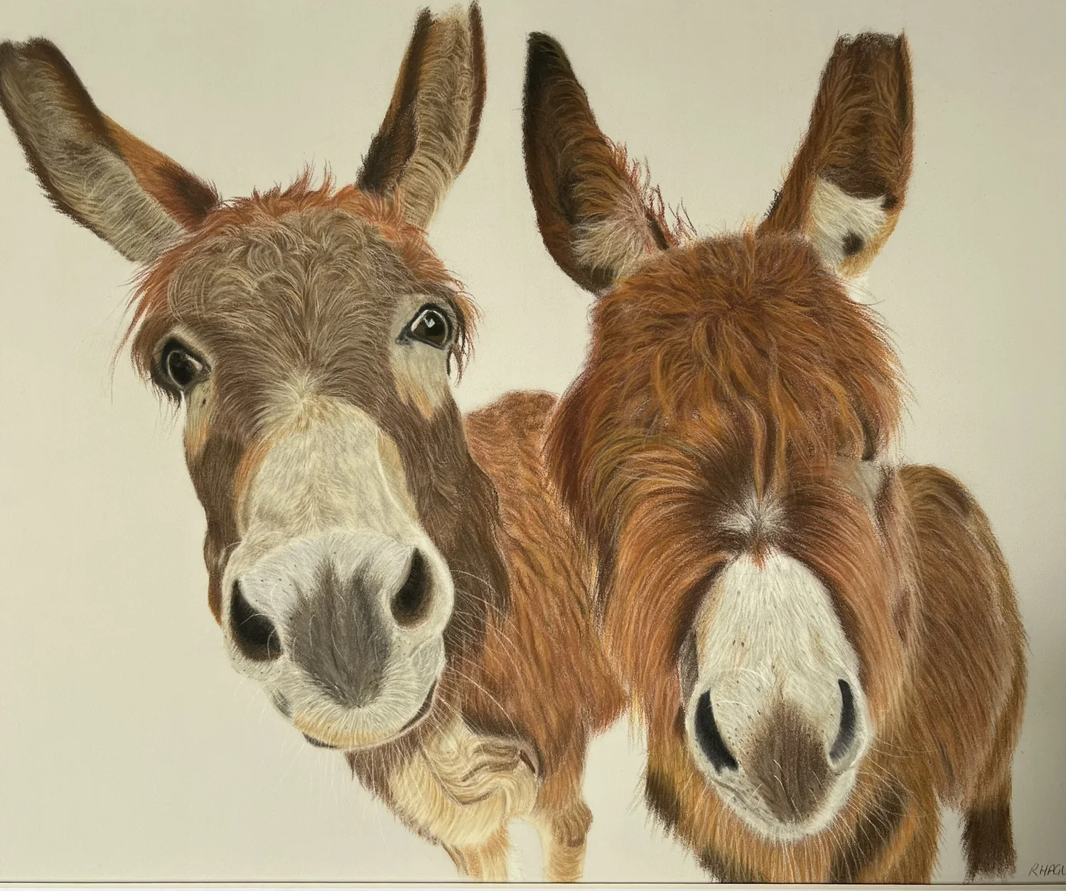 Donkey Pair by Art by Rachel