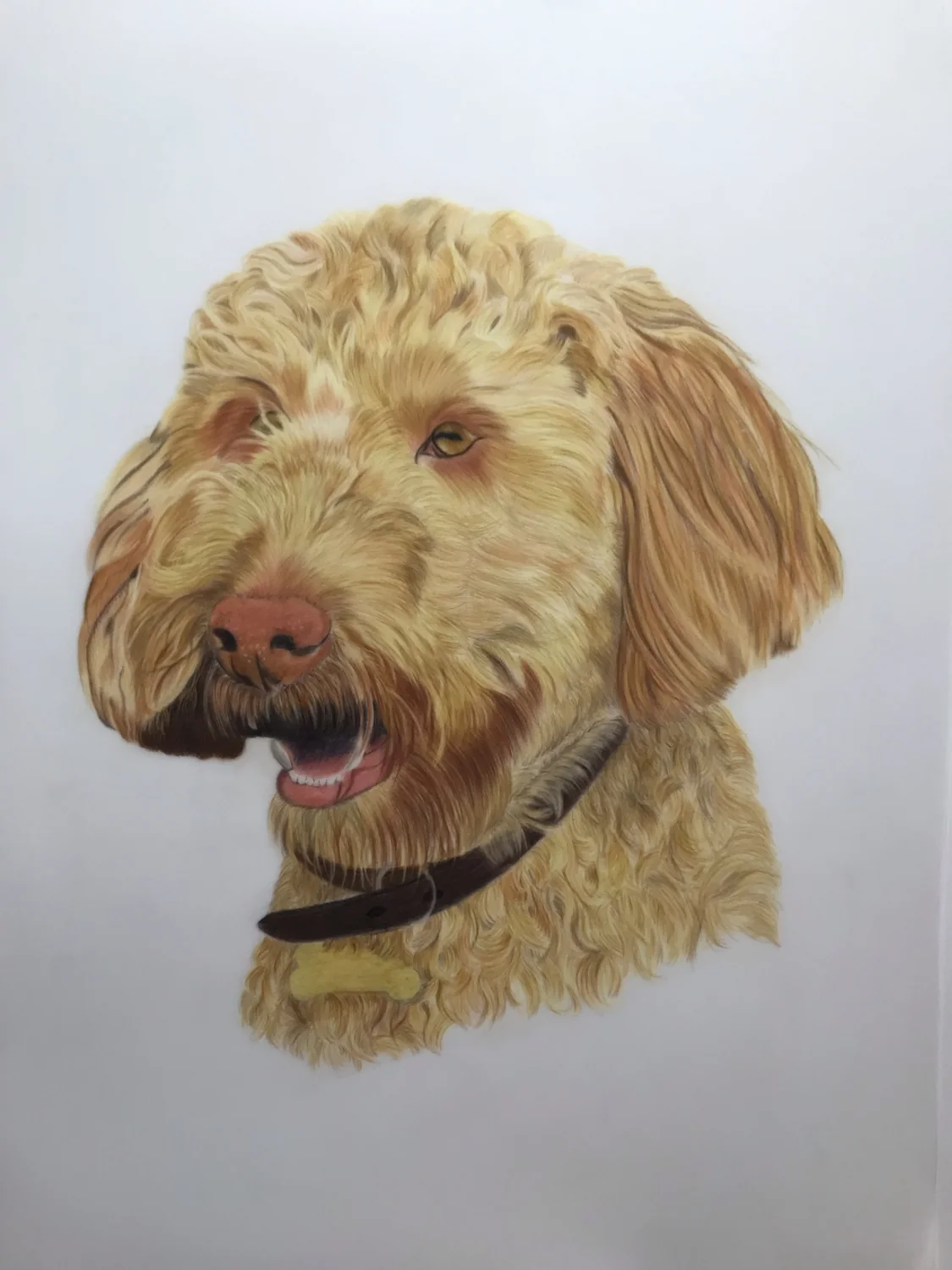 Golden Dog Portrait by Art by Rachel