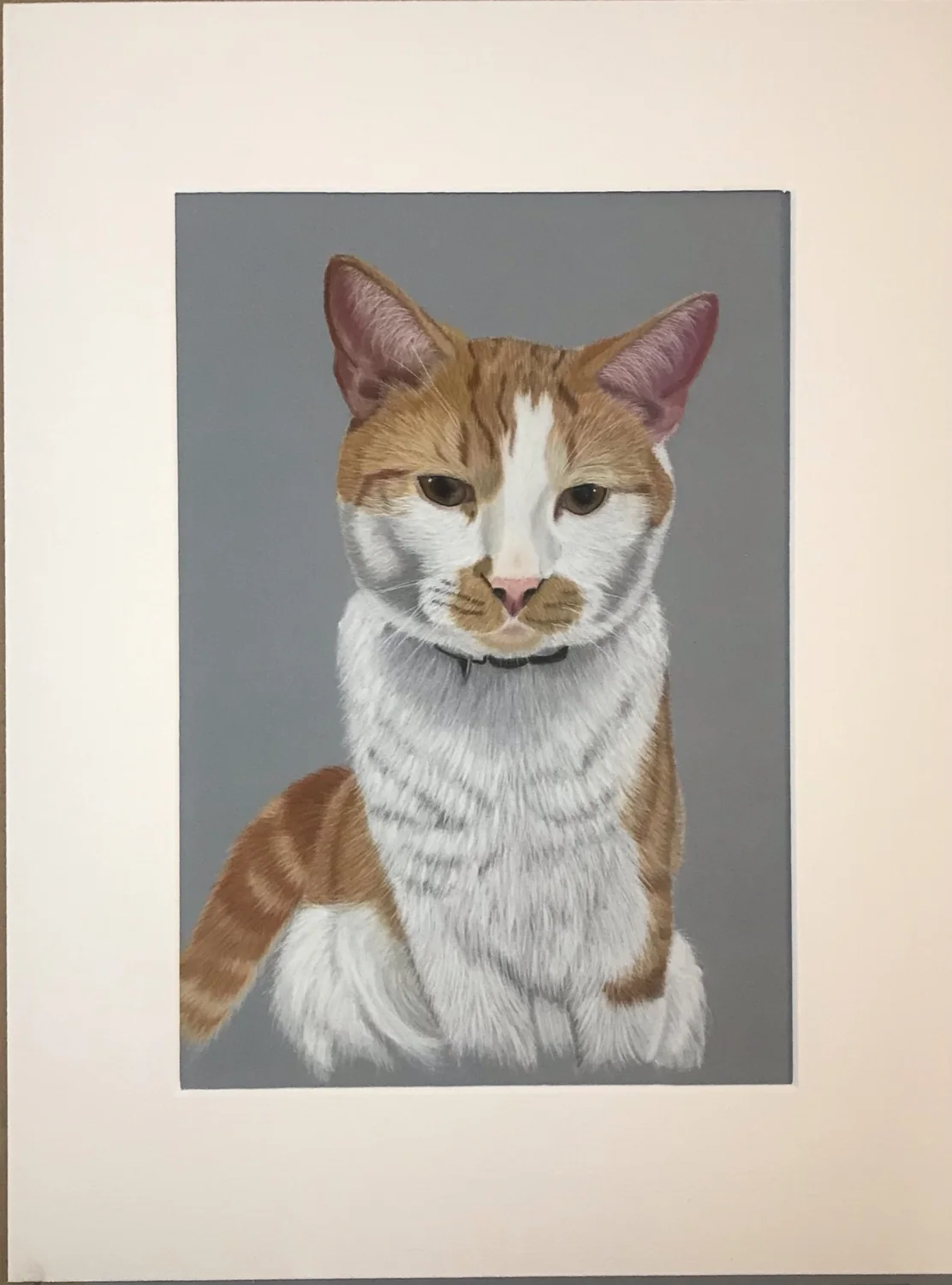 Orange & White Cat by Art by Rachel