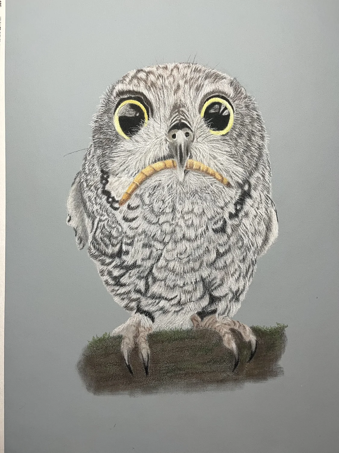 Owl by Art by Rachel
