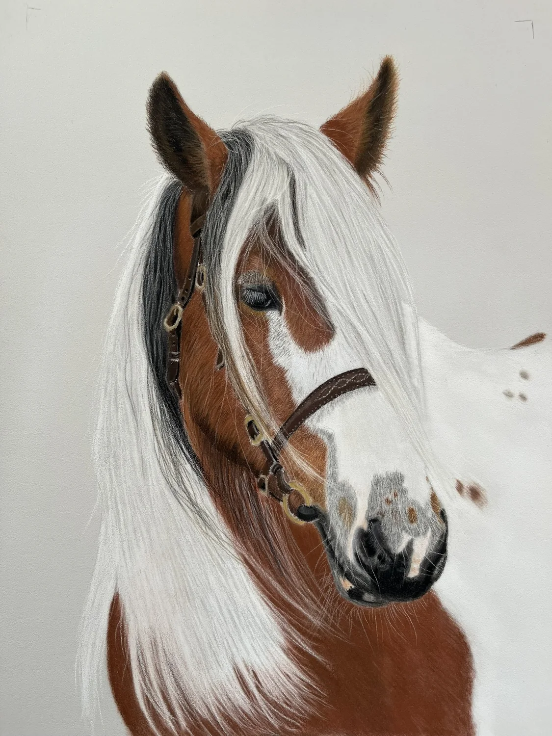 Pinto Horse by Art by Rachel