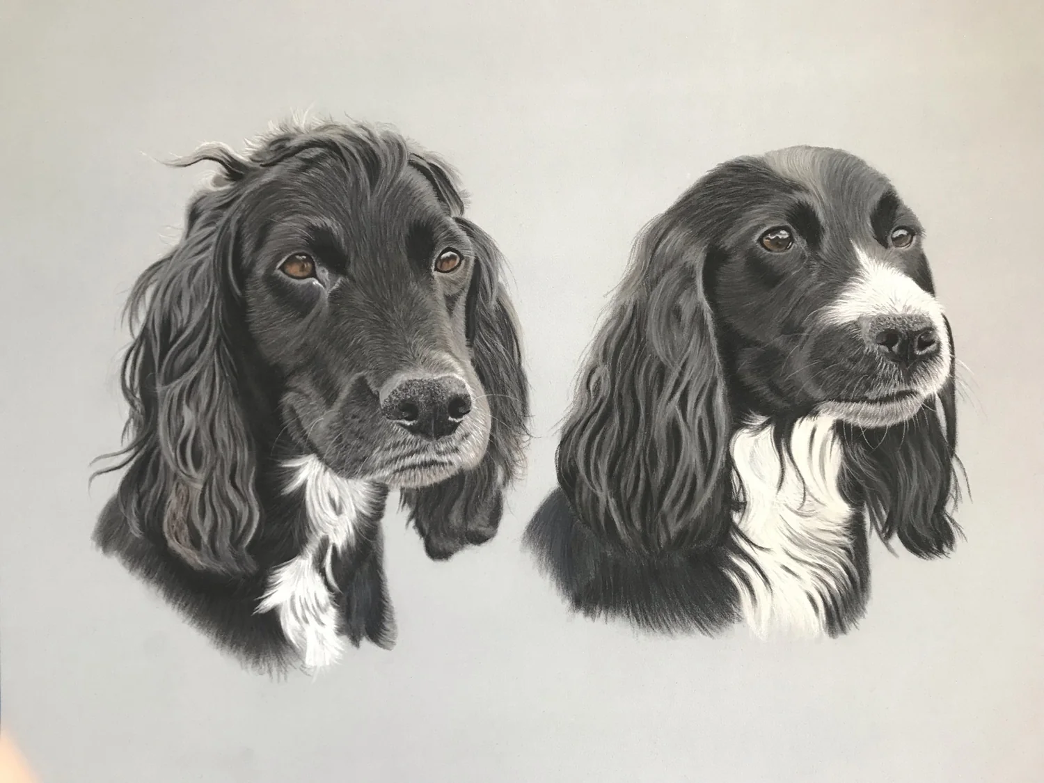 Spaniel Pair by Art by Rachel