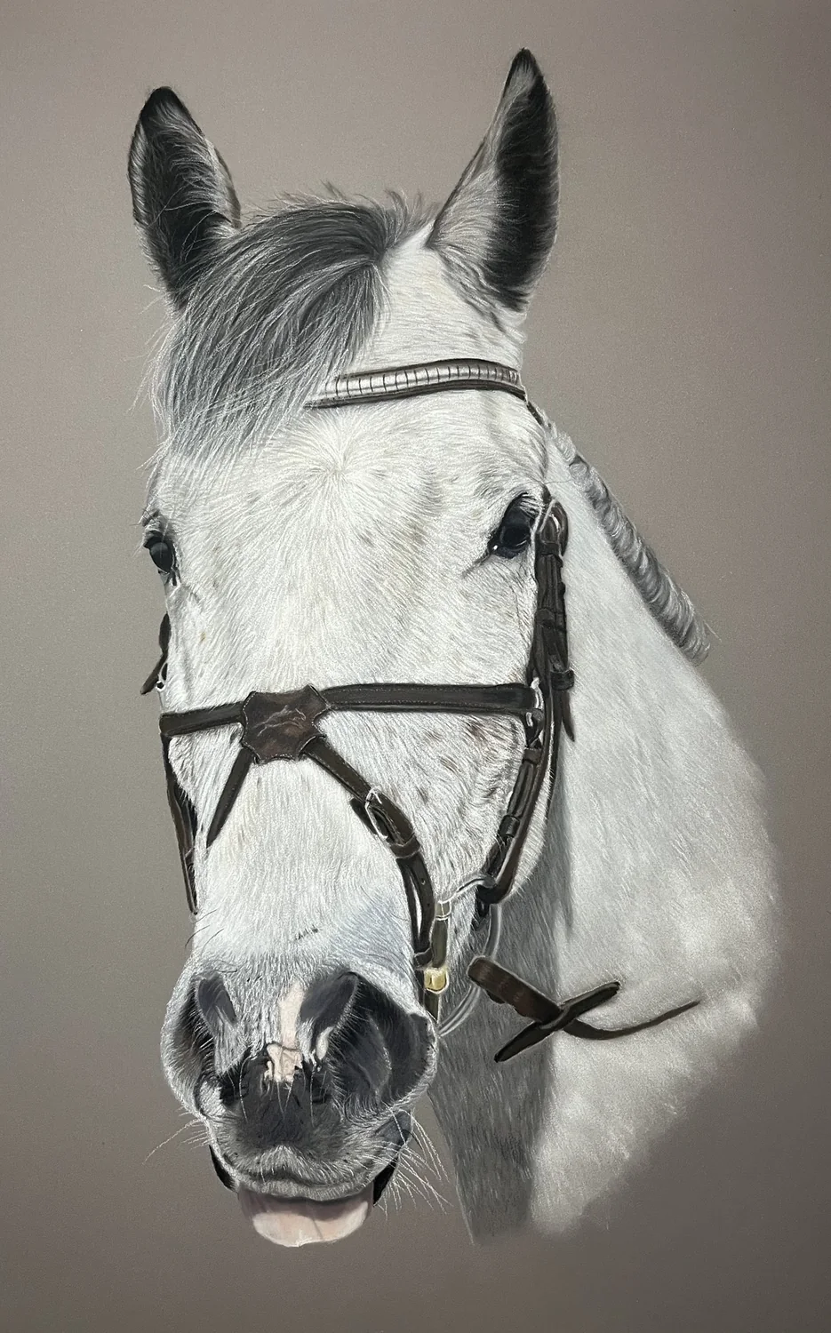White Horse by Art by Rachel