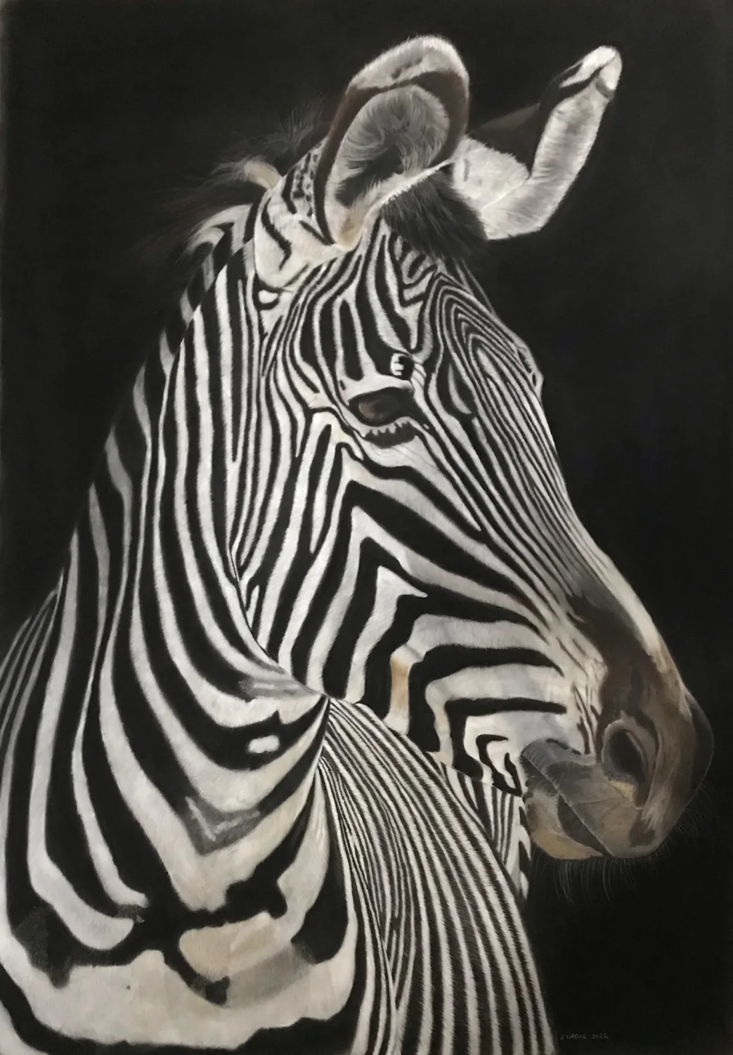 Zebra by Art by Rachel